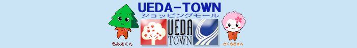 UEDA-TOWNVbsO[
