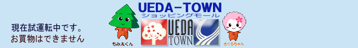 UEDA-TOWNVbsO[